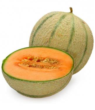 CANTALOUPE