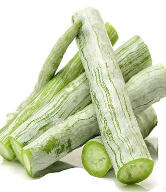 SNAKE GROUD