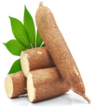 YUCA