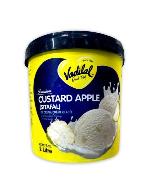 Vadilal Custard Apple Ice Cream
