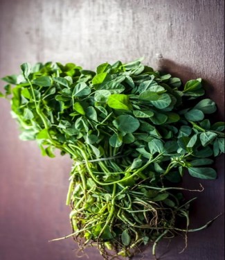 METHI