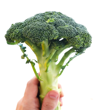 BROCCOLI