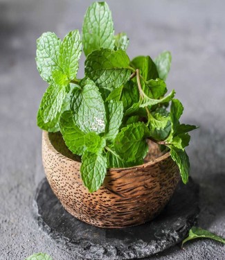 MINT
