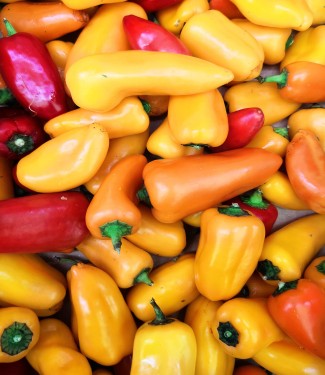 MINI PEPPER