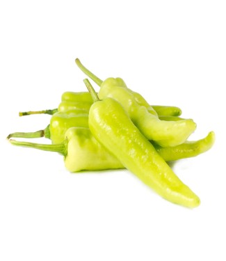 LONG HOT PEPPER