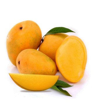 Indian Kesar Mango Box