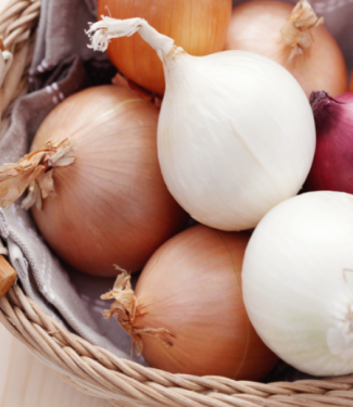 SPANISH ONION