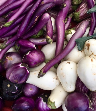 ITALIAN  EGGPLANT