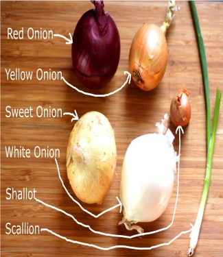 PEARL ONION(RED  YELLOW  WHIT)